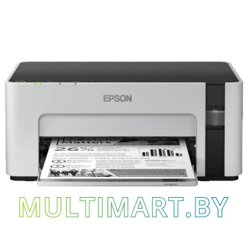 Принтер Epson M1120